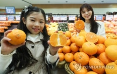 롯데마트, 과즙 풍부한 탐라향 출시