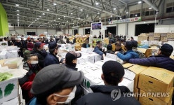 남촌농산물도매시장 첫 경매