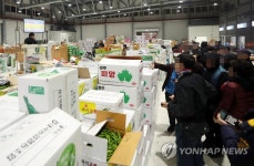 새벽부터 북적이는 인천 남촌농산물도매시장
