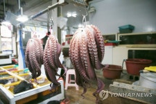 문어 언제 팔꼬