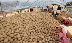 최문순 지사, 트위터·공식 SNS 채널 활용 강원감자 홍보 판매