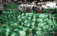광주 각화 농산물 도매시장 지난해 거래실적 3천490억원