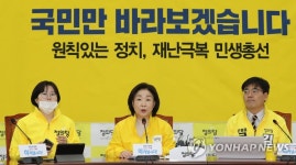 발언하는 심상정 대표