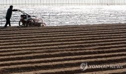 강원 감자 인기 쭉 이어가길