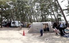 캠핑객 붐비는 태안 몽산포 해변