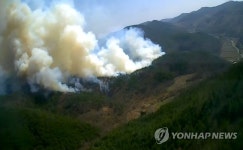 경북 안동 산불, 헬기 6대 투입해 진화 작업 중