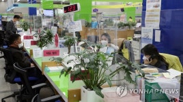 구청 민원실에 등장한 유리격벽
