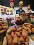 동굴에서 숙성한 호박고구마 맛보세요