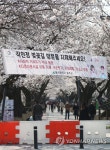 작천정 벚꽃길 입구 막은 바리케이드