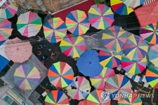 봄비에 활짝 핀 꽃처럼 활짝 피어난 화원시장