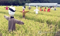 영월에 도시민 힐링·농촌체험 공간 서울농장 조성
