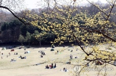 상당산성에서 여유 즐기는 청주시민들