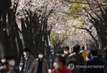 잔인했던 대구의 봄