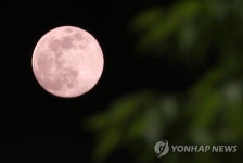 대구 상공에 뜬 핑크문