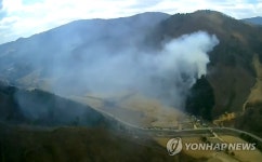 평창 진부면 두일리서 산불