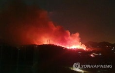 서산 대산읍 화곡리 야산서 불