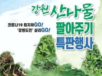 감자 이어 나물 완판 도전 강원 산나물 특판행사 열려