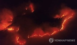 철원 자등리 국유림서 화재 발생