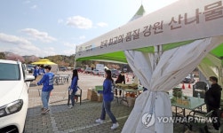 강원 산나물 드라이브 스루 특판