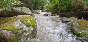 설악산국립공원 곰배골 계곡