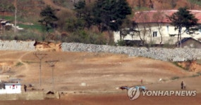 북한 원정동 마을 인근 소달구지