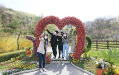 보령시 22개 야외 체육시설·휴양림 운영 재개