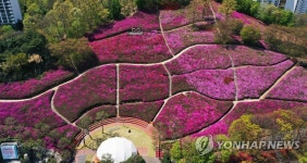 울긋불긋 물들어가는 철쭉동산