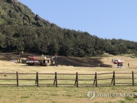 제주 성산일출봉 잔디광장에 불