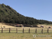 까맣게 그을린 성산일출봉 잔디광장