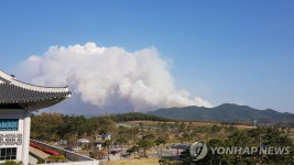 안동 풍천면에 산불…헬기 2대 투입 진화 중
