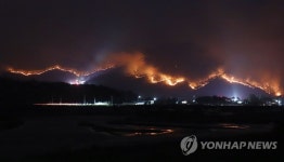 밤사이 무섭게 번지는 안동 산불
