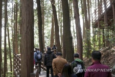 사회적거리 두고 숲속 산책