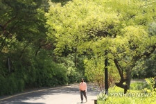 봄 산책