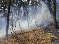 단양 소백산에 불…깊은 산속 현장 접근에 애로
