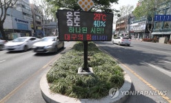 초여름 날씨 보인 대구