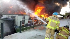 [속보] 서울 서초구 화훼단지 화재…소방당국 진화중