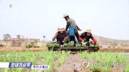 북한, 평안북도 곽산군서 올해 첫 모내기