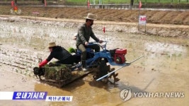 북한, 평안북도 곽산군서 올해 첫 모내기