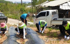 농협중앙회 준법지원부, 농촌 일손돕기 실시