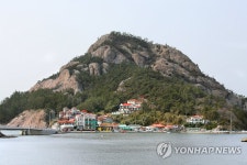 대장도