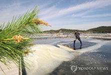 태안서 송화소금 생산 한창