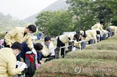 광주 북구, 5·18 구묘역 환경정화