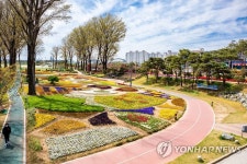 봄꽃 만개한 증평 보강천 둔치