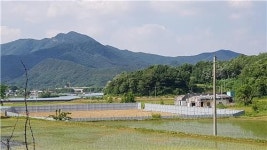 상주 두 곳에서 축사 신축 갈등…3년만에 대화로 해결