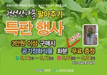 정선군 산나물 팔아주기 특판행사 16일 개막