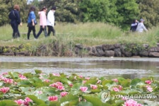 연꽃 산책