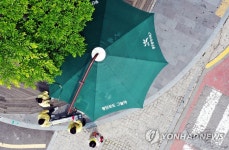 본격적인 무더위 그늘막 펼쳐