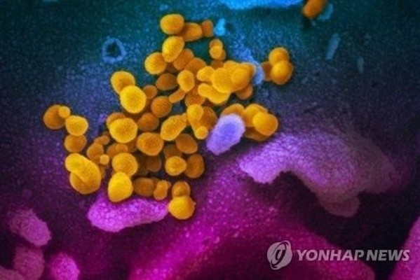 김포서 30대 소방관 코로나19 확진…근무지 안전센터 폐쇄 | 포토뉴스