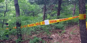 파주 적성서 소나무재선충병 발생…긴급 방제