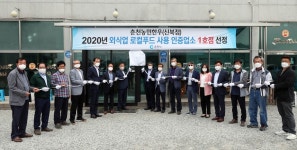 춘천시 로컬푸드 사용인증 1호 음식점 농민한우 선정